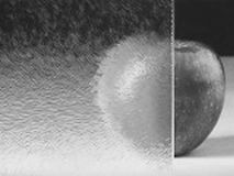 24t chinchilla blanc